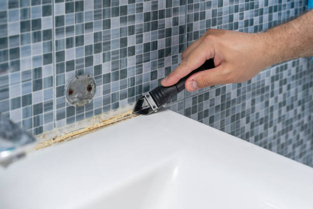 Best Office Mold Removal Services  in Roselle Park, NJ